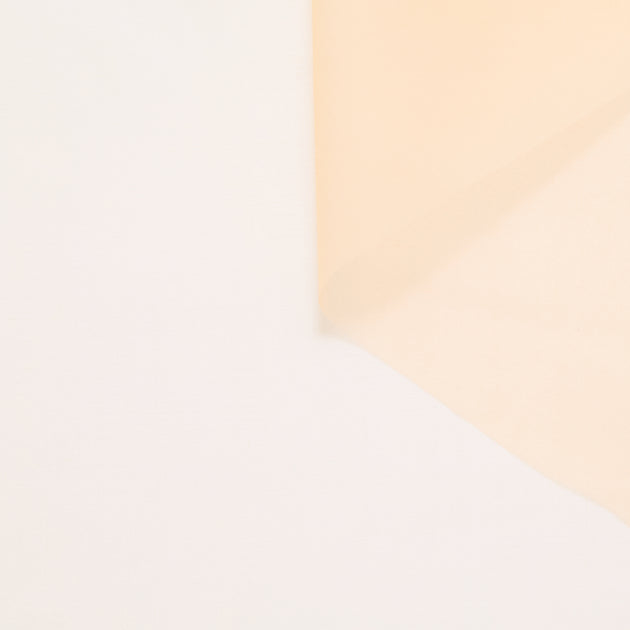 T24P13287 | Organza en Soie