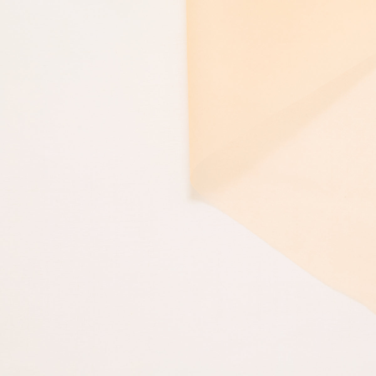 T24P13287 | Organza en Soie