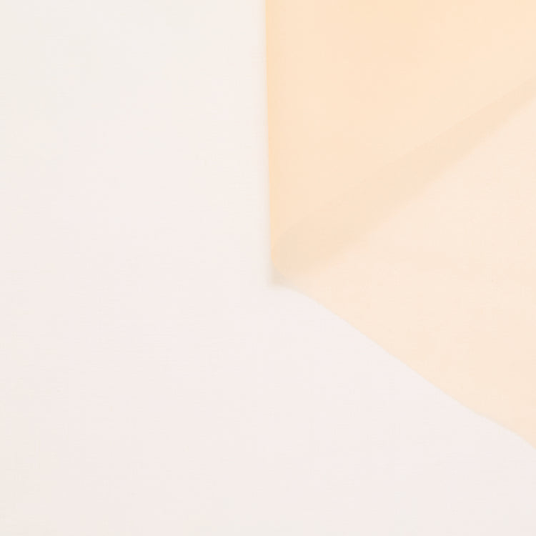 T24P13287 | Organza en Soie - vue 1