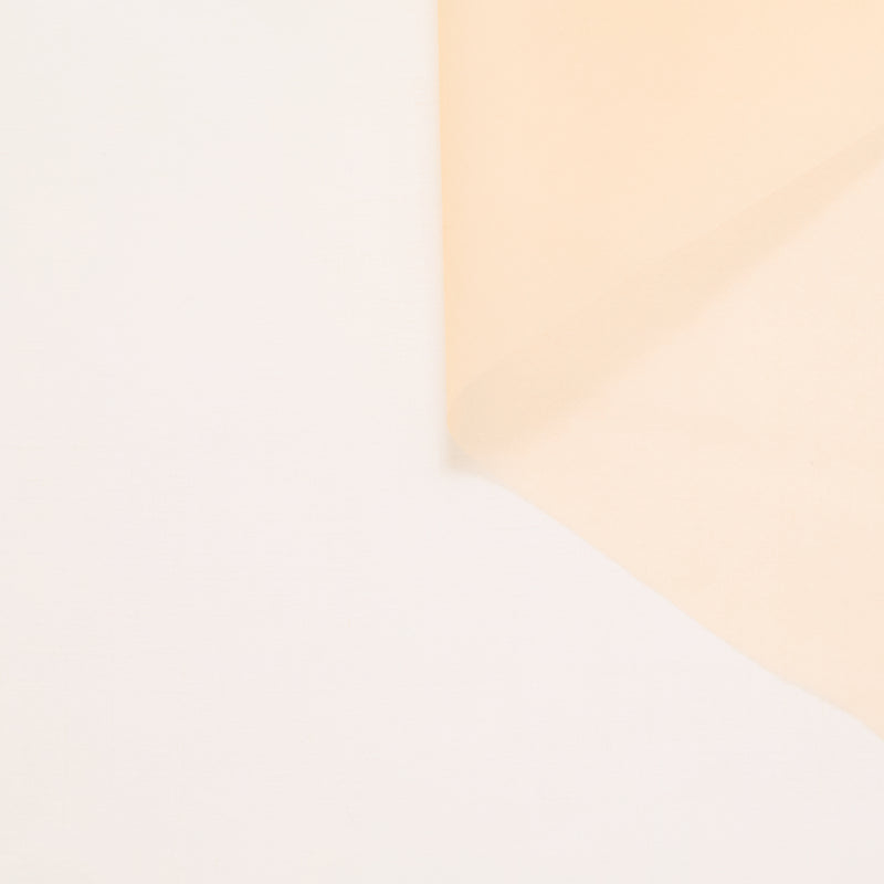 T24P13287 | Organza en Soie