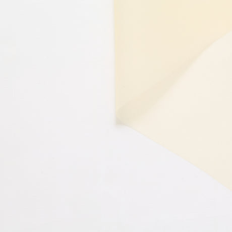 T24P13287 | Organza en Soie