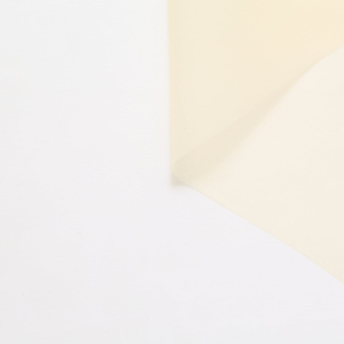 T24P13287 | Organza en Soie