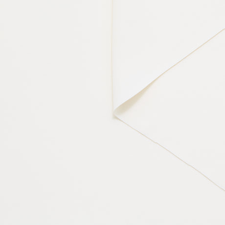 T24P13291 | Crêpe de Viscose