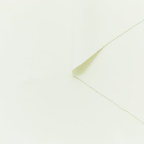 T24P13405 | Crêpe de Viscose