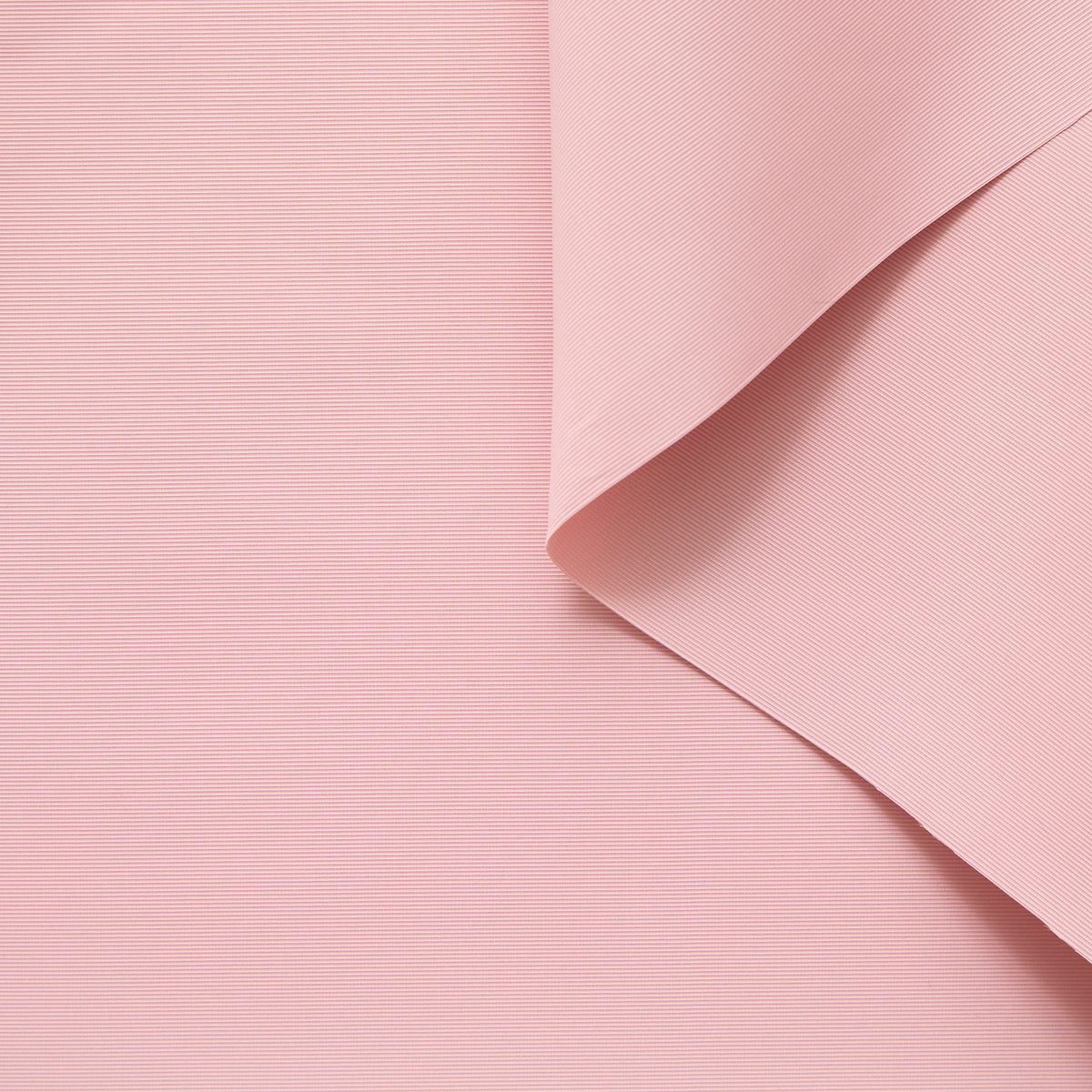 T24P13425 | Jersey Technique