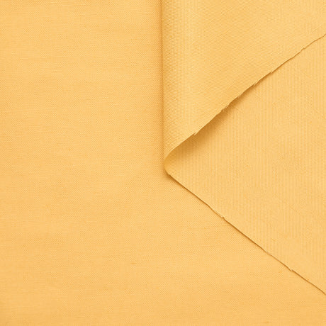 T24S11143 | Cotton & Linen Canvas