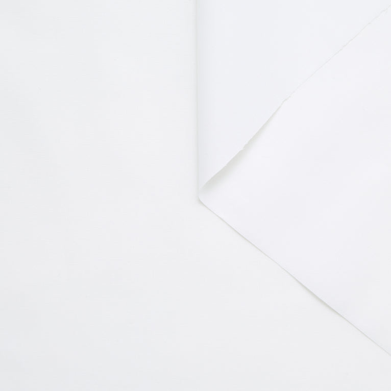 T24S11155 | Popeline Stretch en Coton  - vue 3