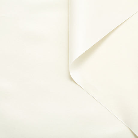 T24V07323 | Stiff Silk Canvas