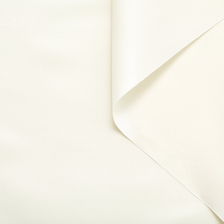 T24V07323 | Stiff Silk Canvas - view 1