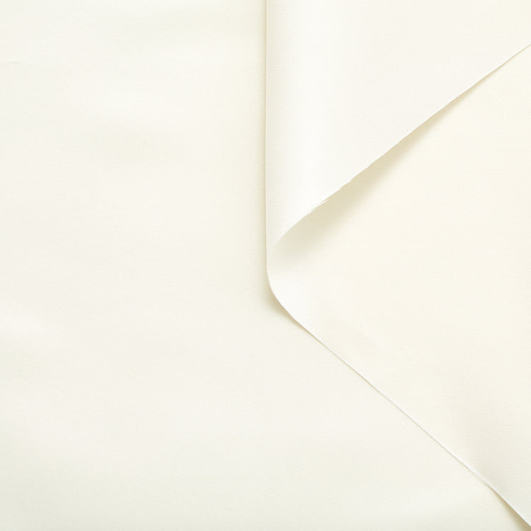 T24V07323 | Stiff Silk Canvas - view 1