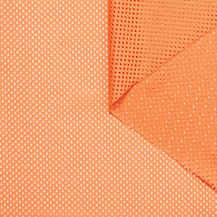 T24V07431 | Mesh - view 1