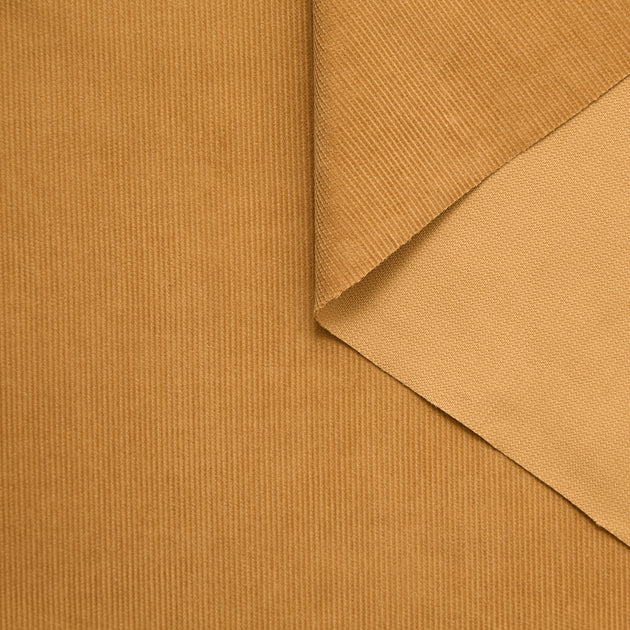 T25A12363 | Velours Milleraies en Coton