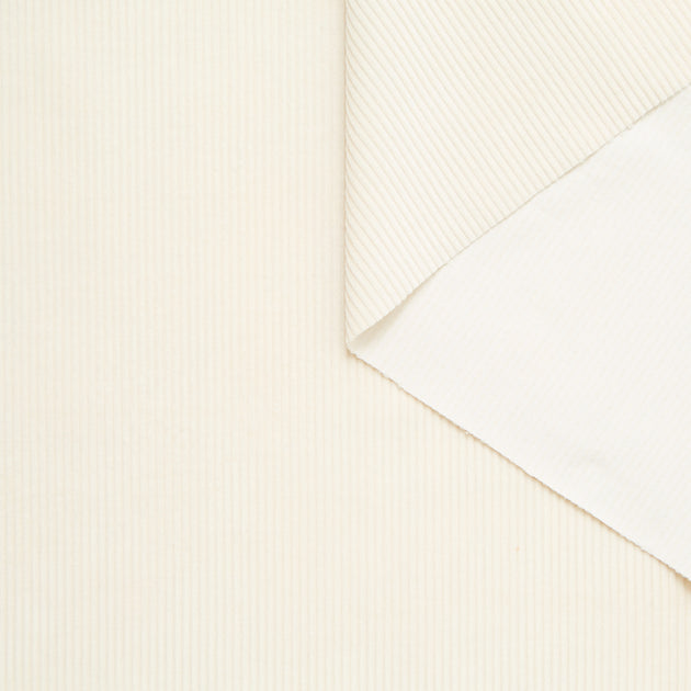 T25A12387 | Velours Corduroy de Coton