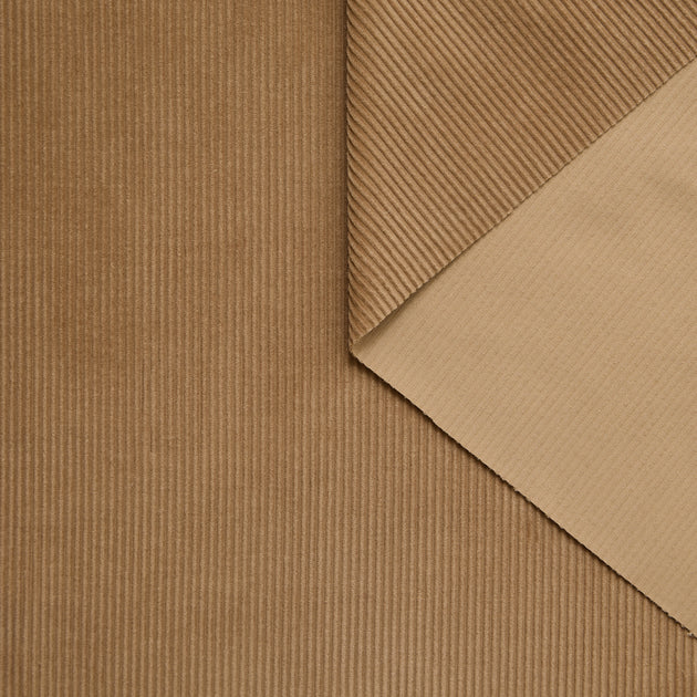 T25A12387 | Velours Corduroy de Coton