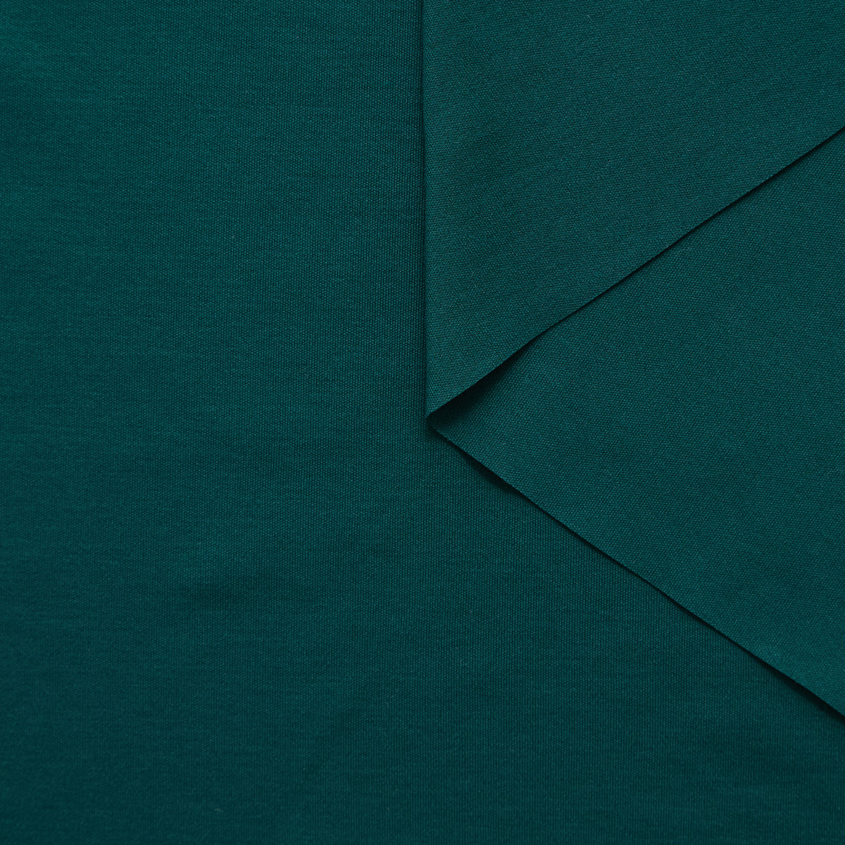 T25A12401 | Jersey de Coton