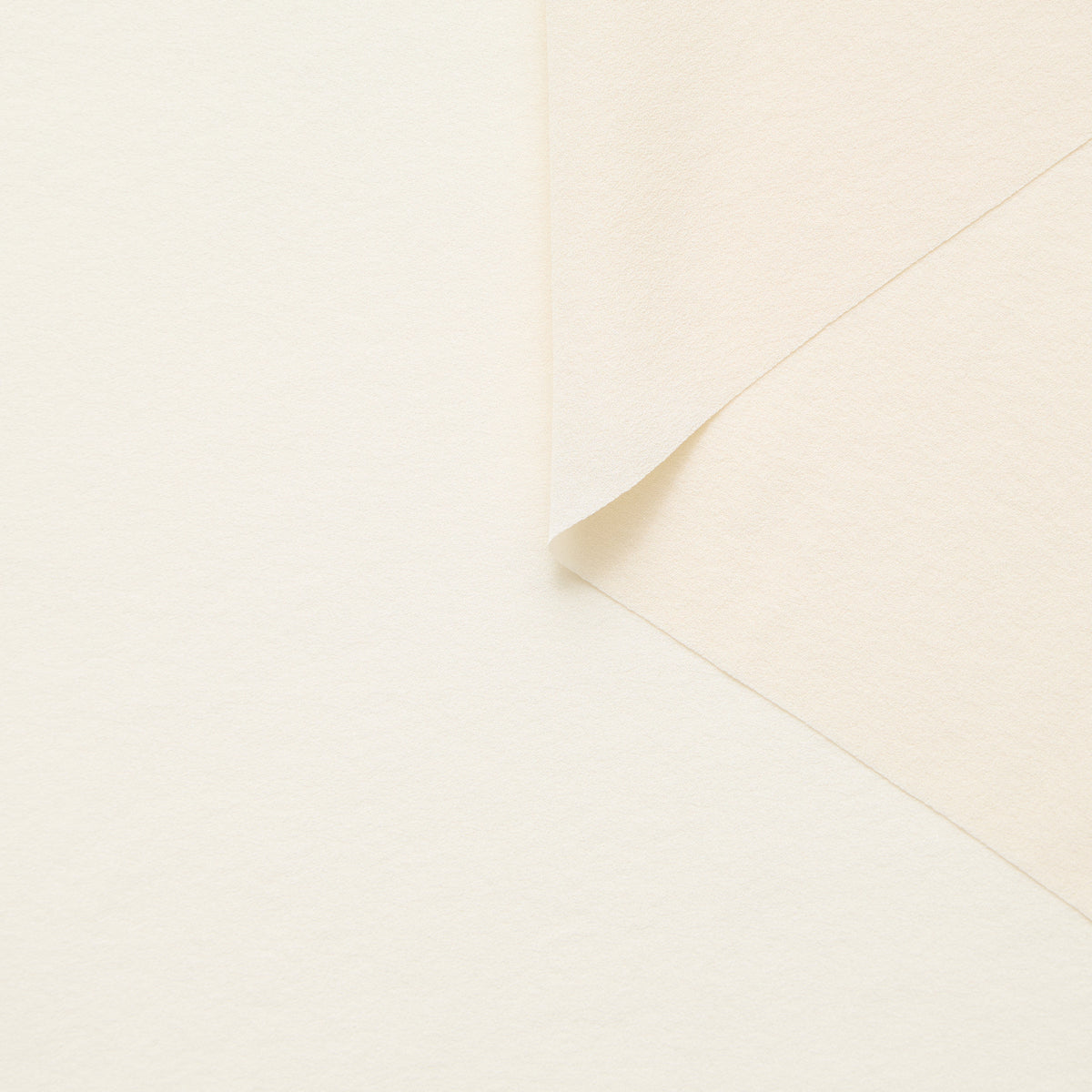 T25A13443 | Georgette de Soie