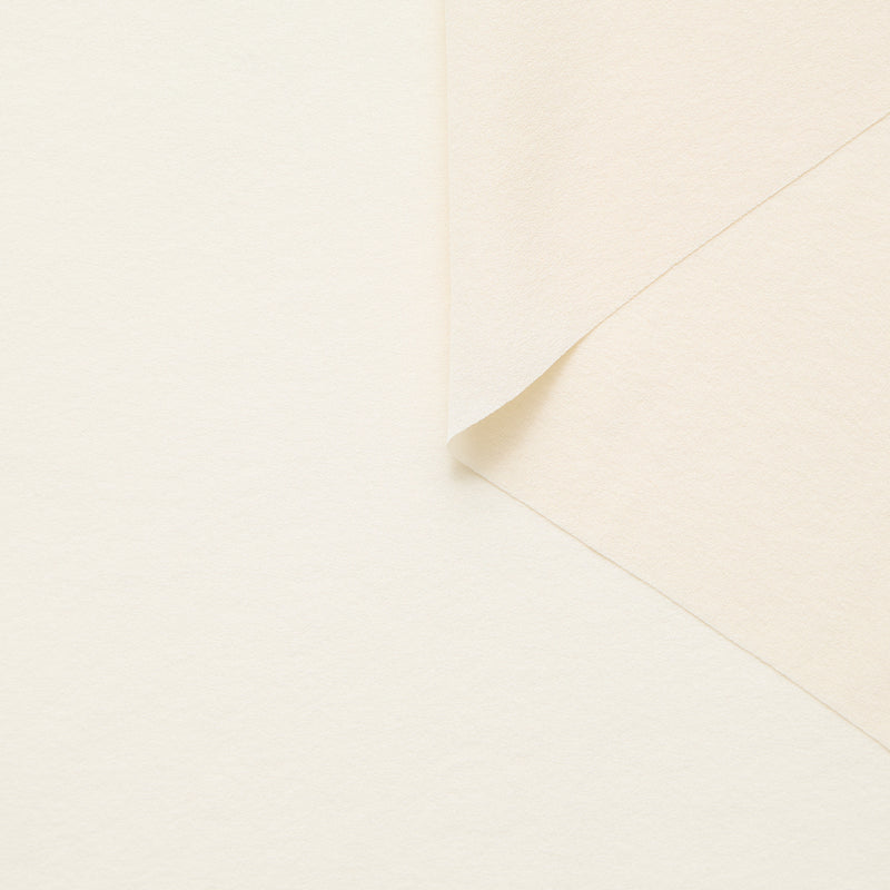 T25A13443 | Georgette de Soie