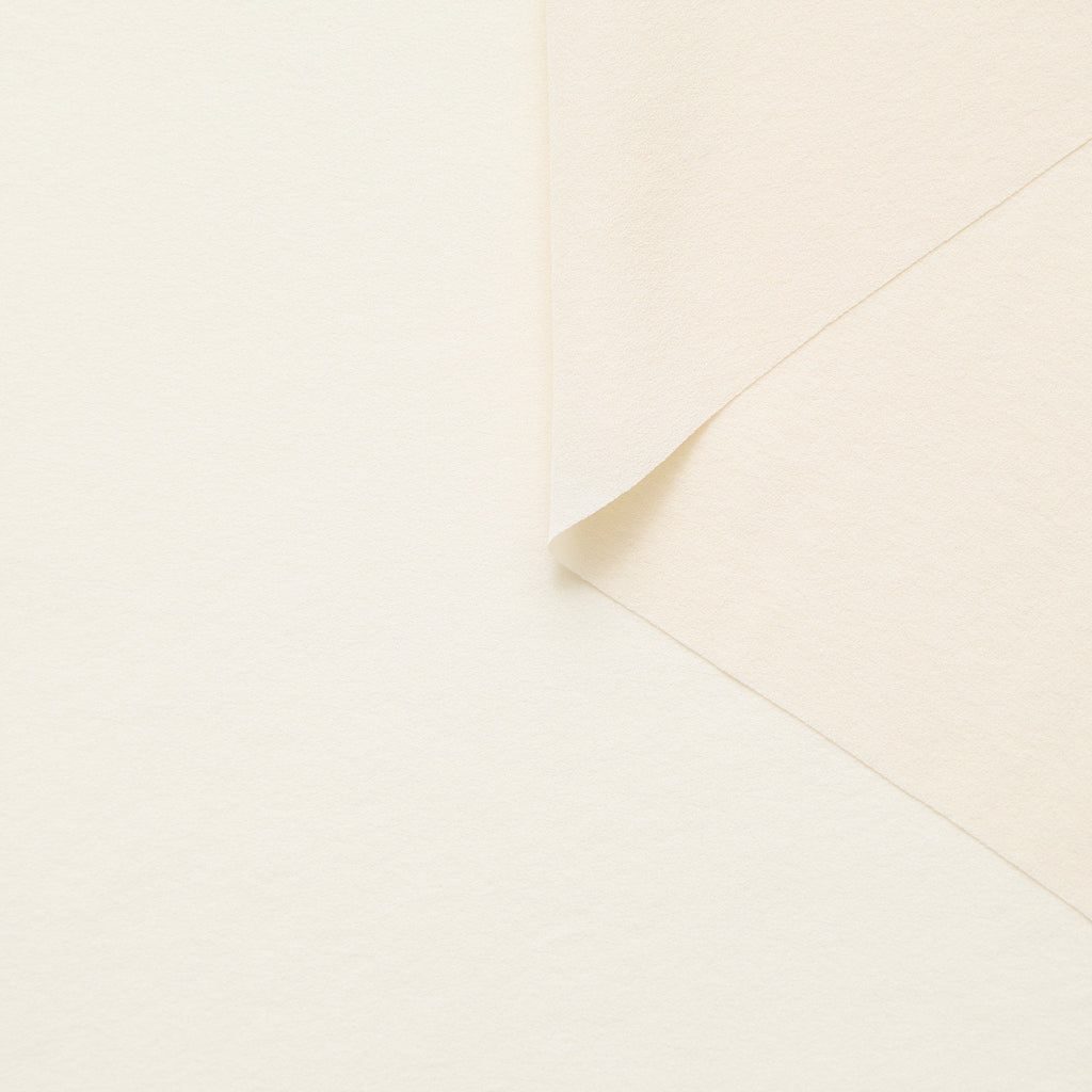 T25A13443 | Georgette de Soie