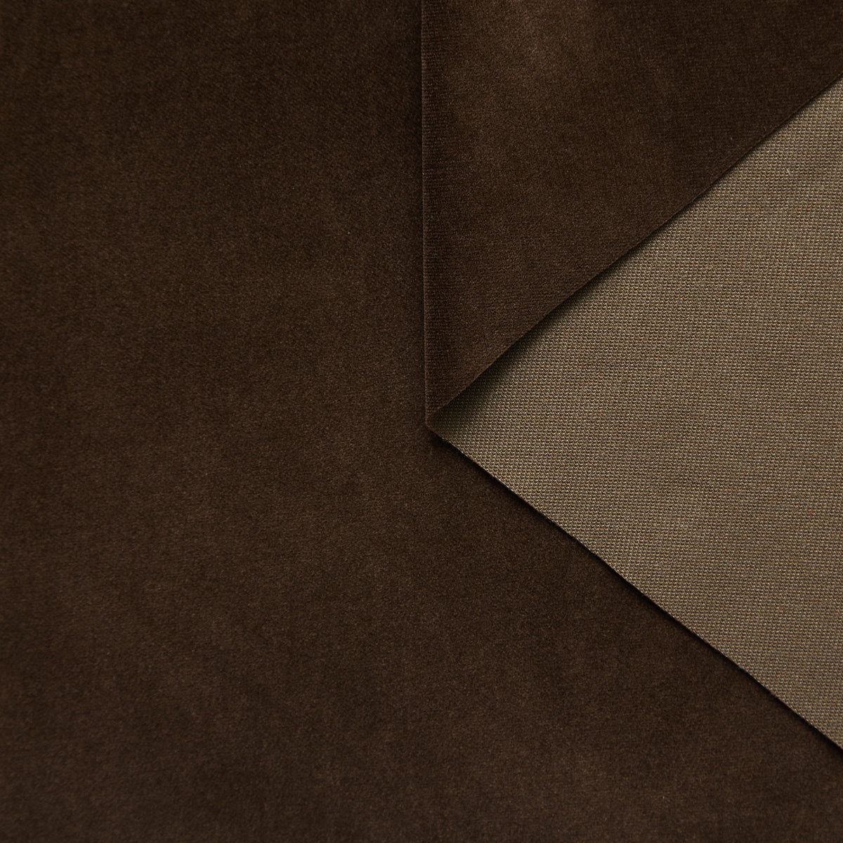 T25A14684 | Velours en Cotton et Modal