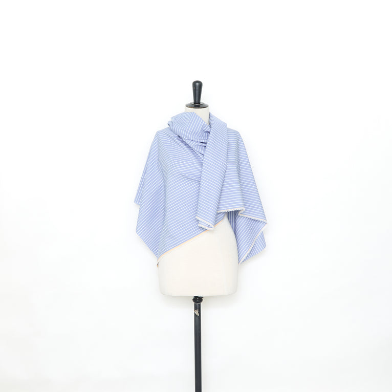 T25A14691 | Chambray de Coton Rayé - vue 2