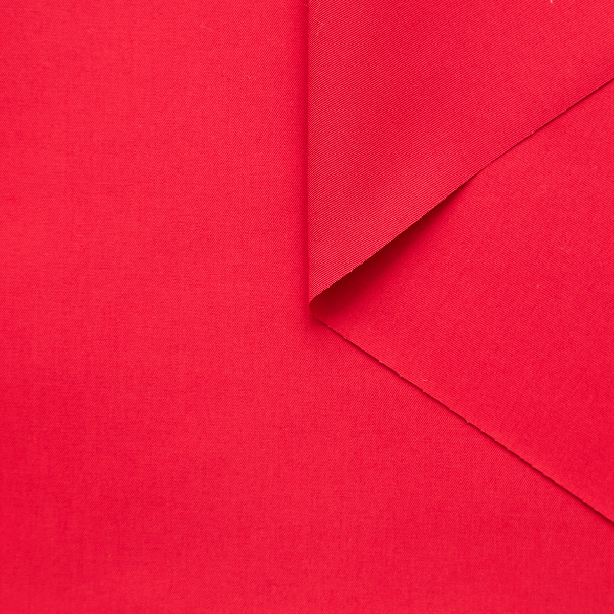 T25A14705 | Light Cotton Gabardine