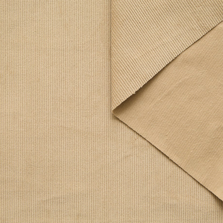 T25A14708 | Velours Corduroy de Coton