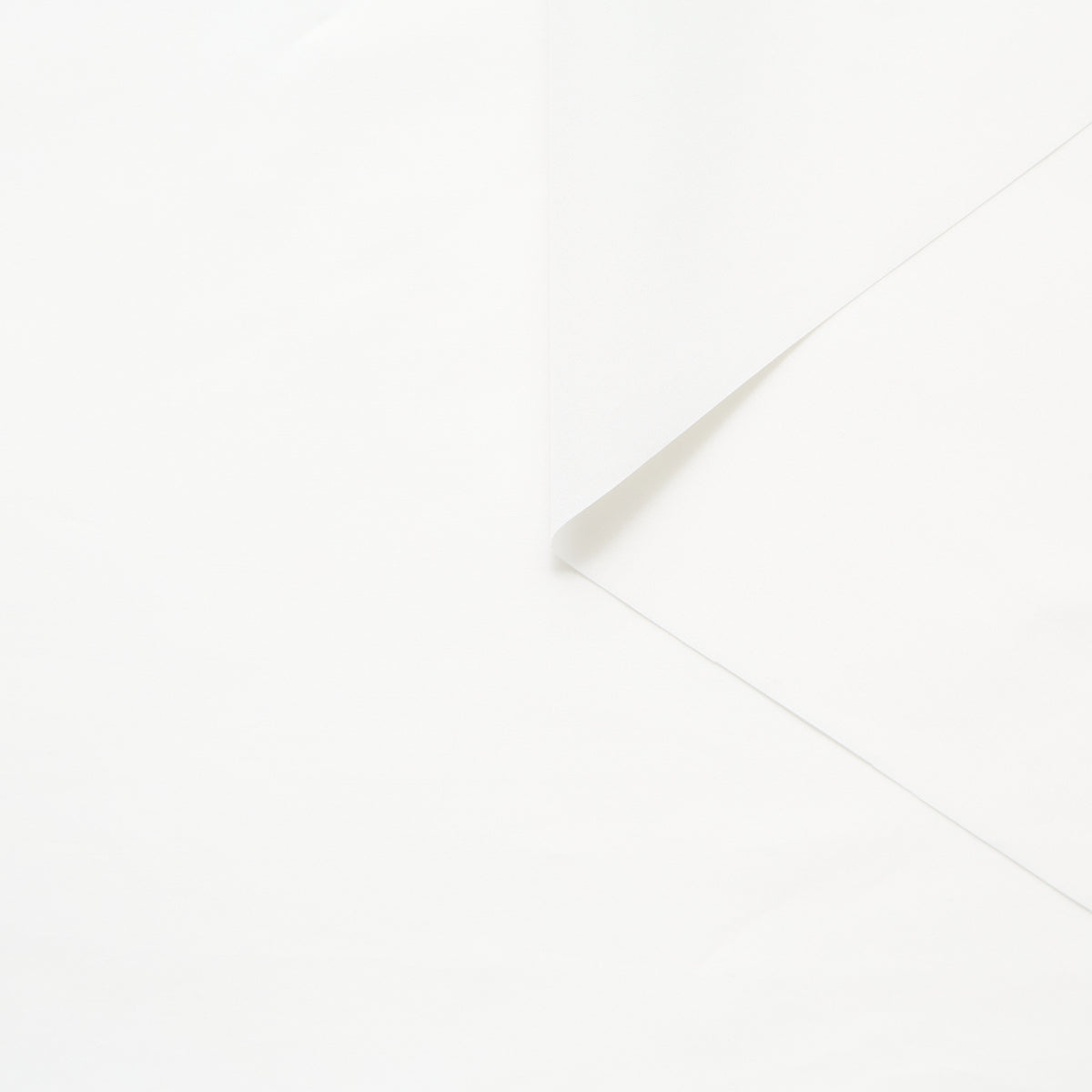 T25B13513 | Popeline de Coton Prête à Imprimer GOTS