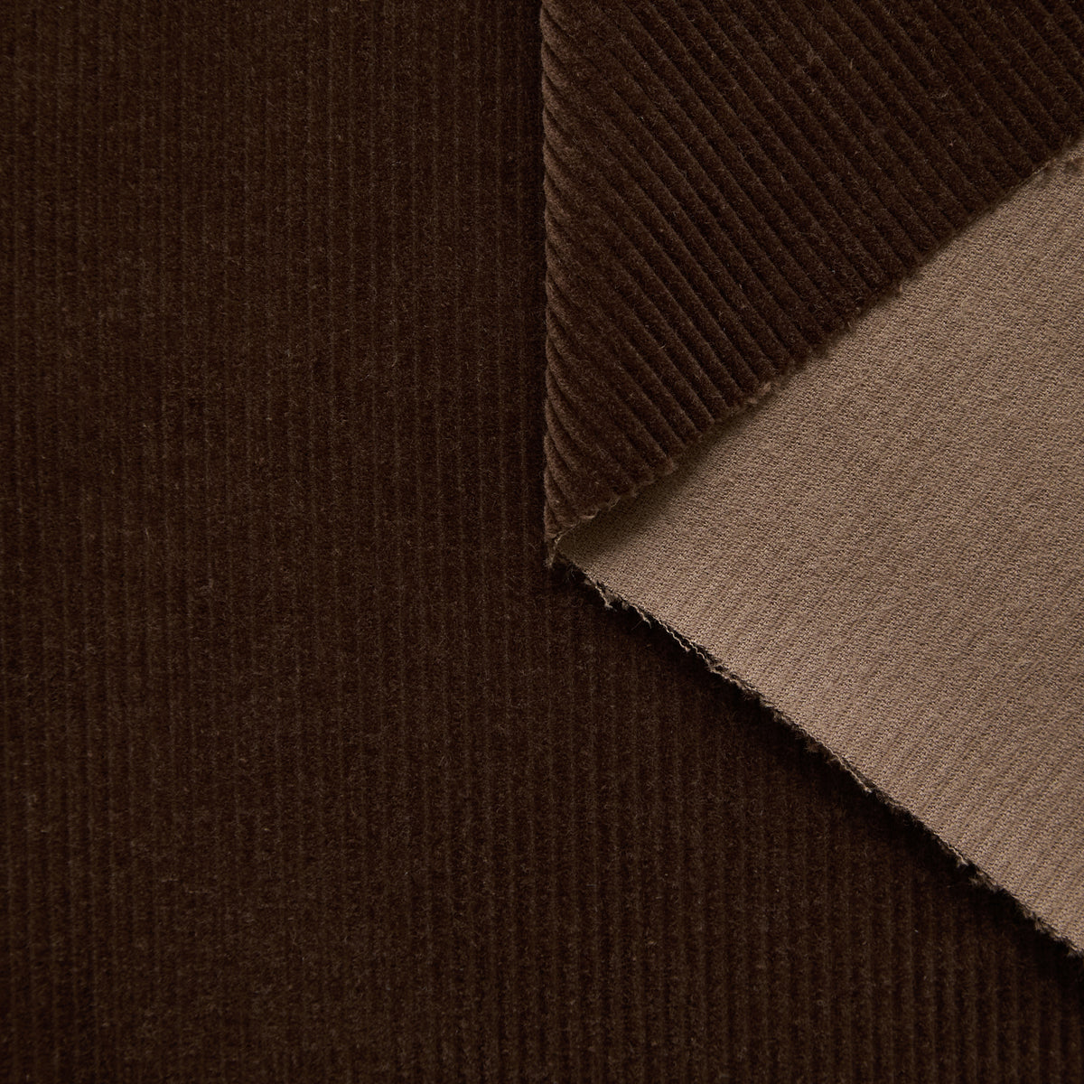 T25B13541 | Velours Corduroy de Coton BCI