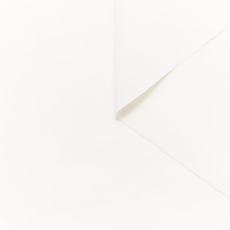 T25B13547 | Toile Technique