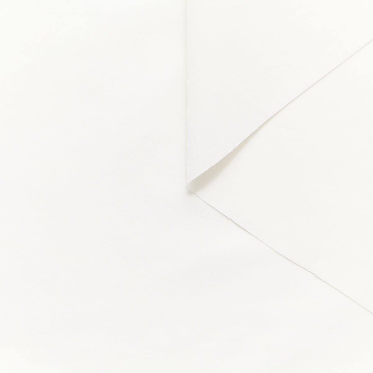 T25B13548 | Popeline de Coton Doux GOTS