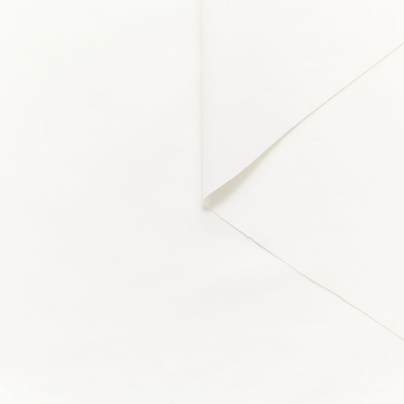 T25B13548 | Popeline de Coton Doux GOTS