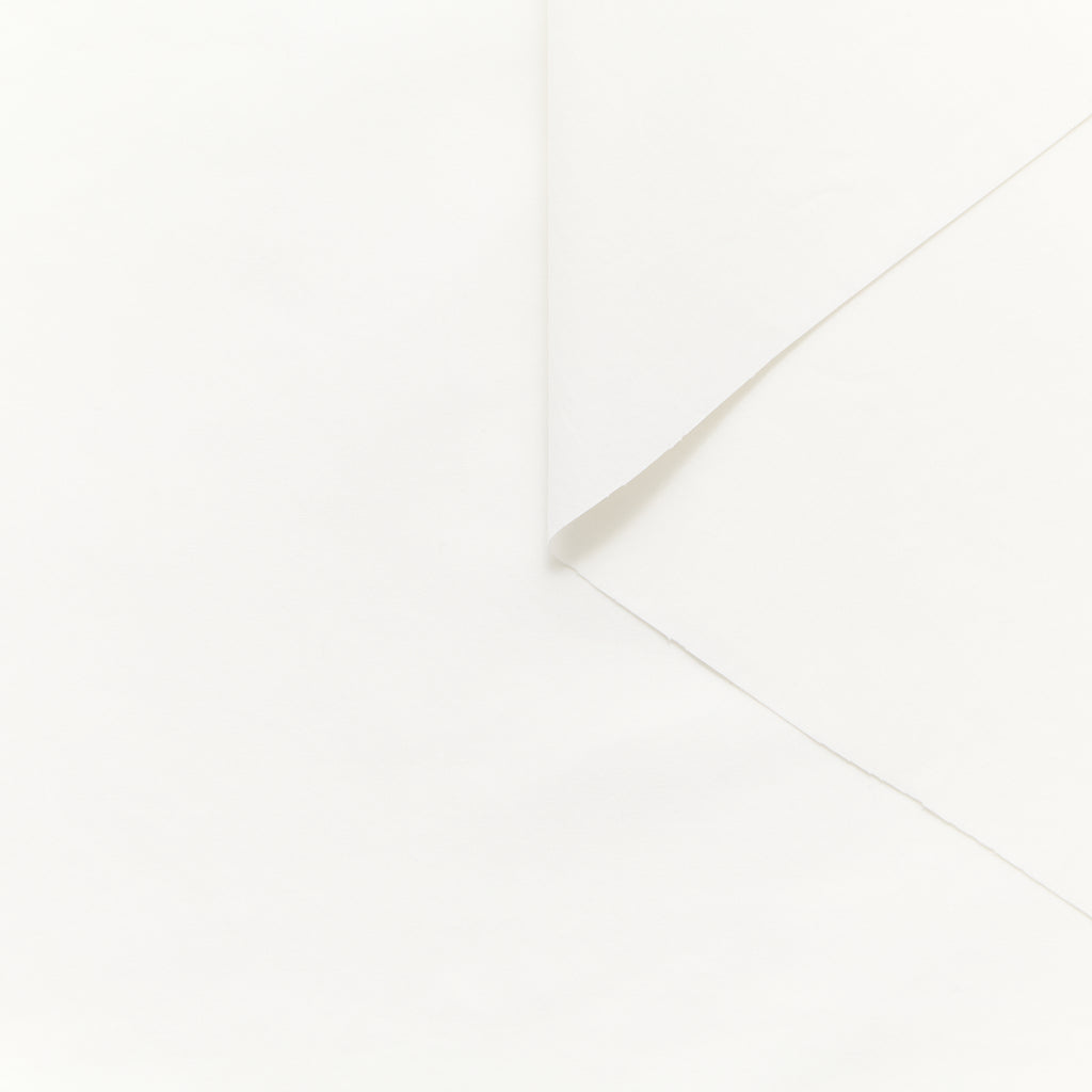 T25B13548 | Popeline de Coton Doux GOTS