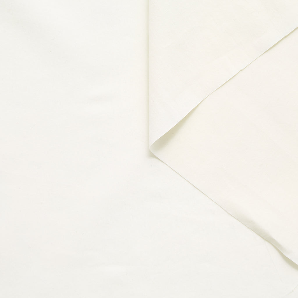 T25B13553 | Popeline Lavée en Coton et Soie BCI