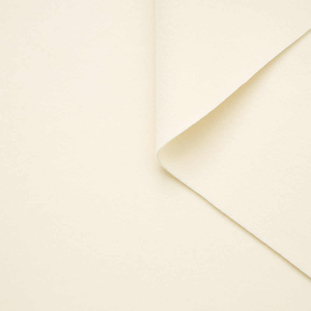 T25B14479 | Drap de Laine et Cachemire RWS