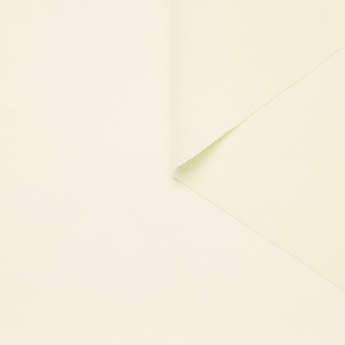 T25B14561 | Crêpe de Chine en Soie GOTS