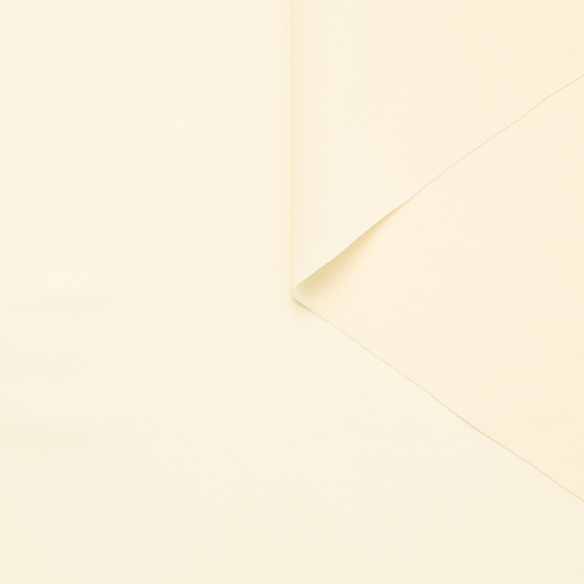 T25B14561 | Crêpe de Chine en Soie GOTS