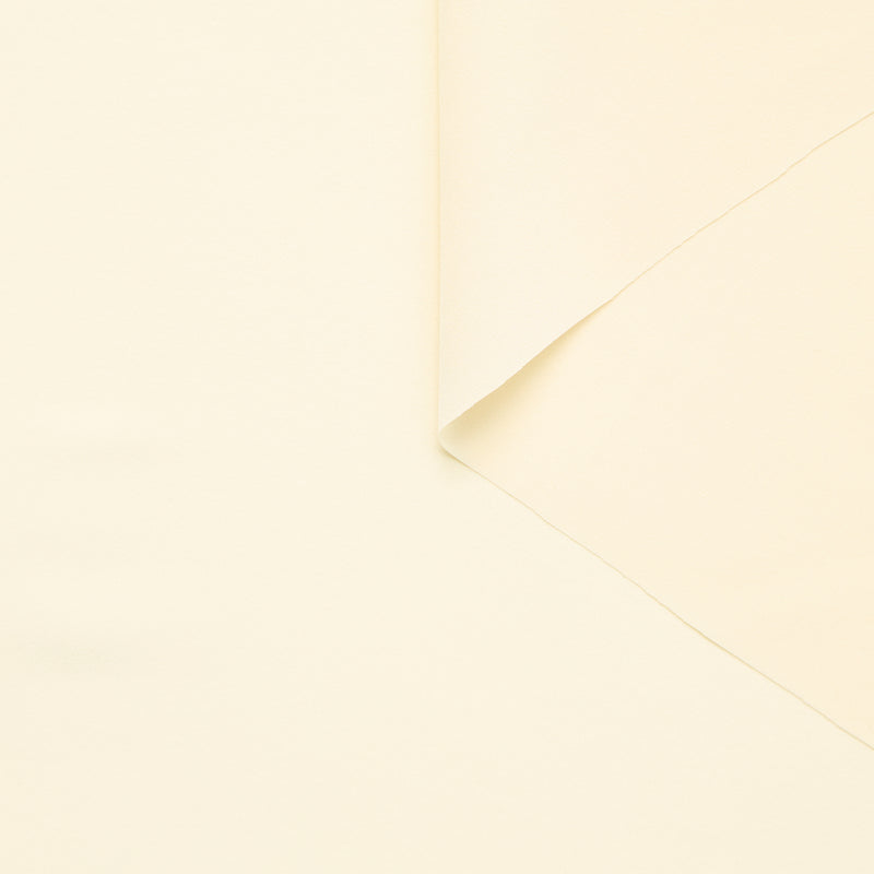 T25B14561 | Crêpe de Chine en Soie GOTS