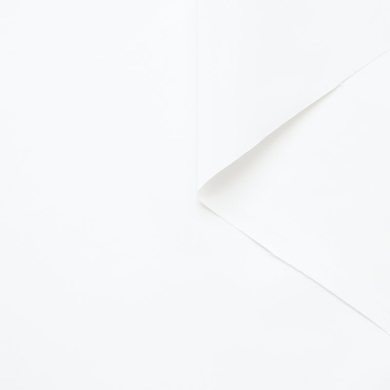 T25B14562 | Radzimir Technique GRS