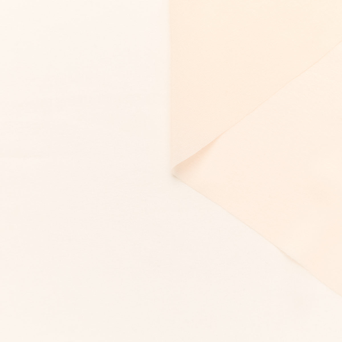 T25B14619 | Crêpe Georgette de Soie GOTS