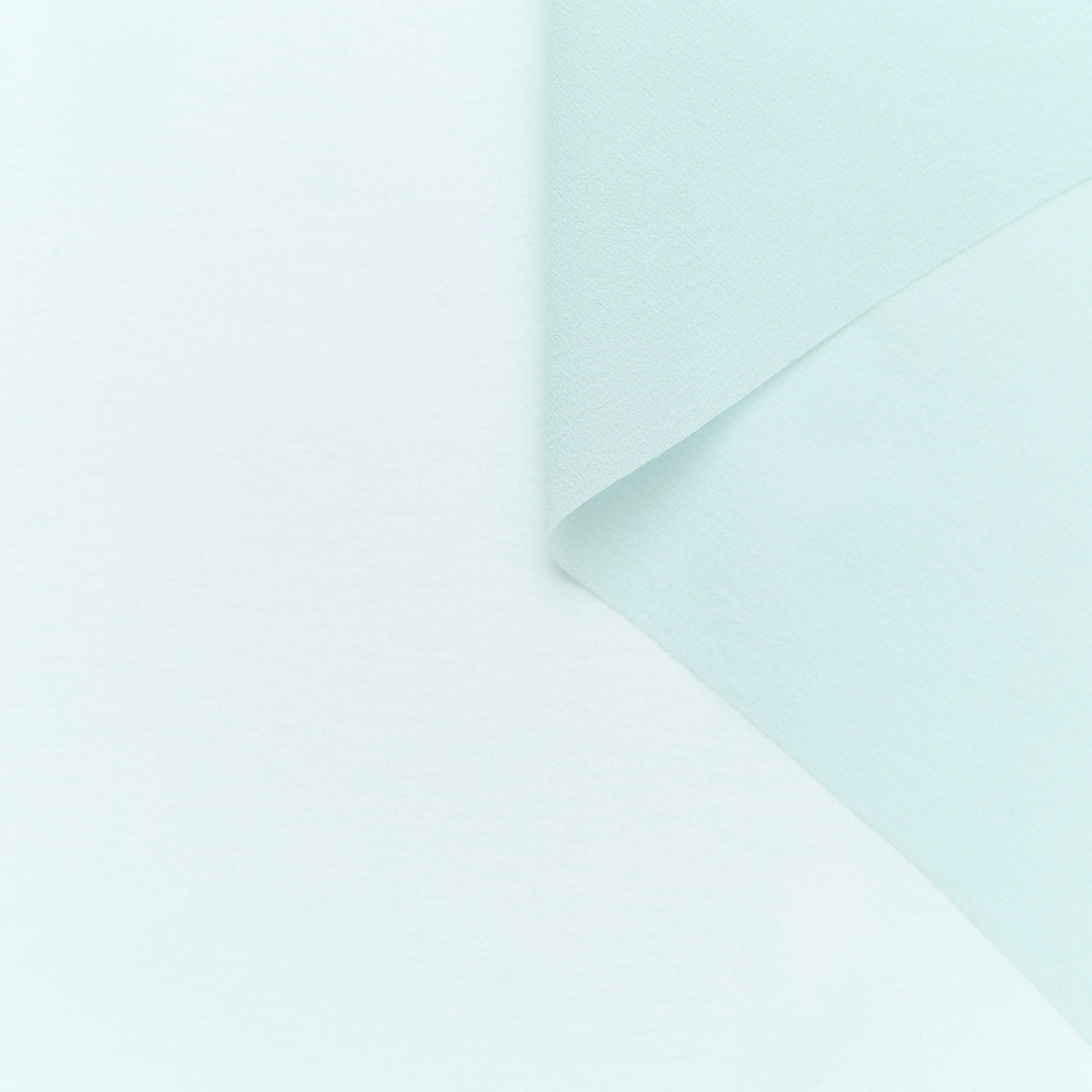 T25B14619 | Crêpe Georgette de Soie GOTS