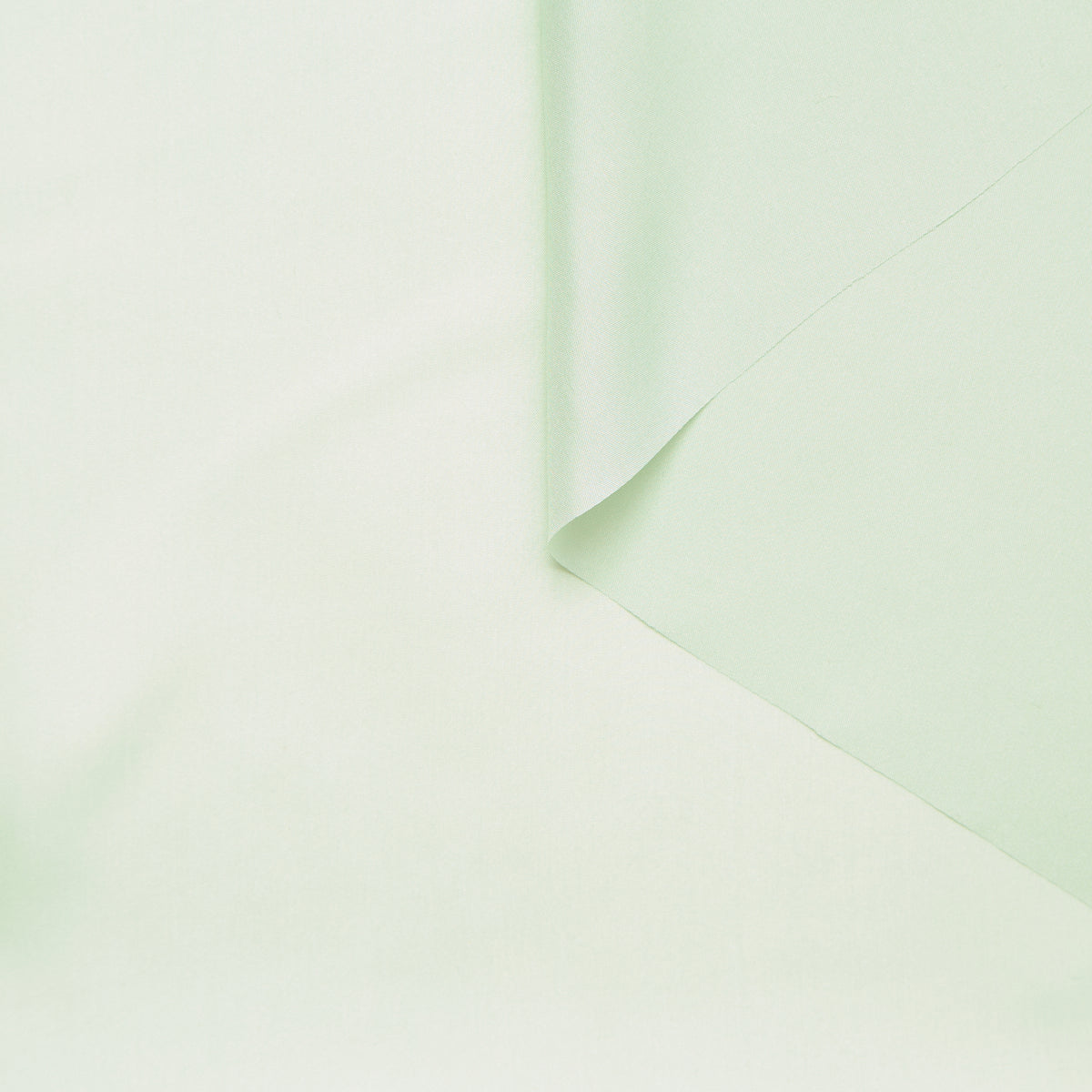 T25B14647 | Silk Pongee GOTS