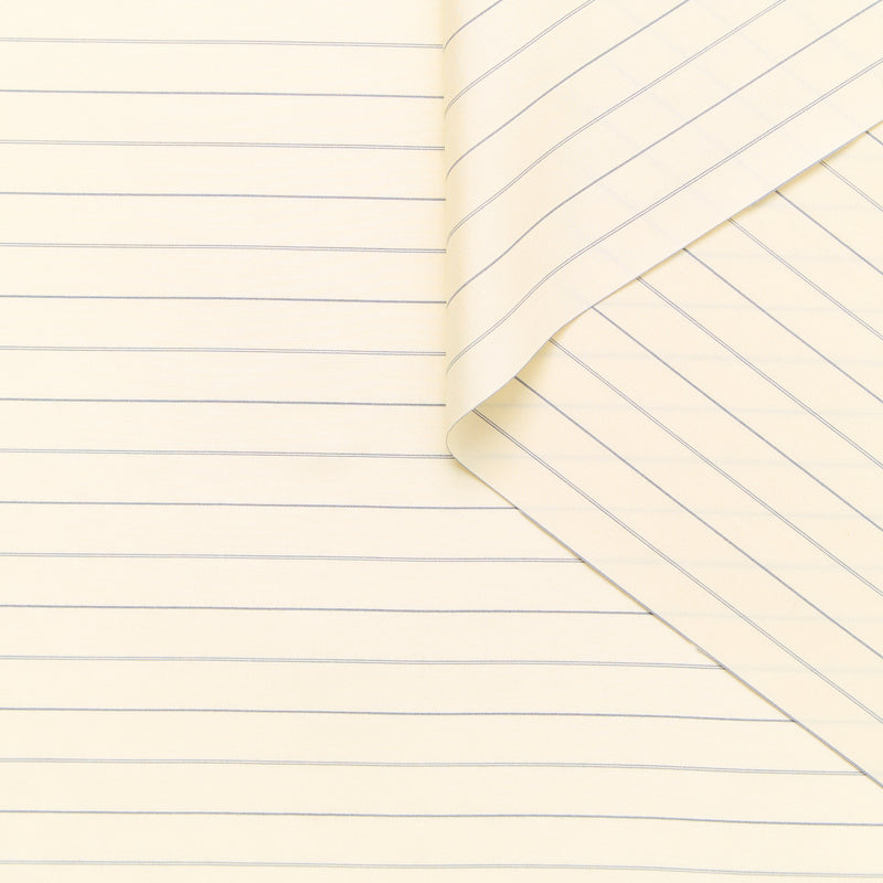 T25B14653 | Popeline à Rayures Fines en Soie  GOTS