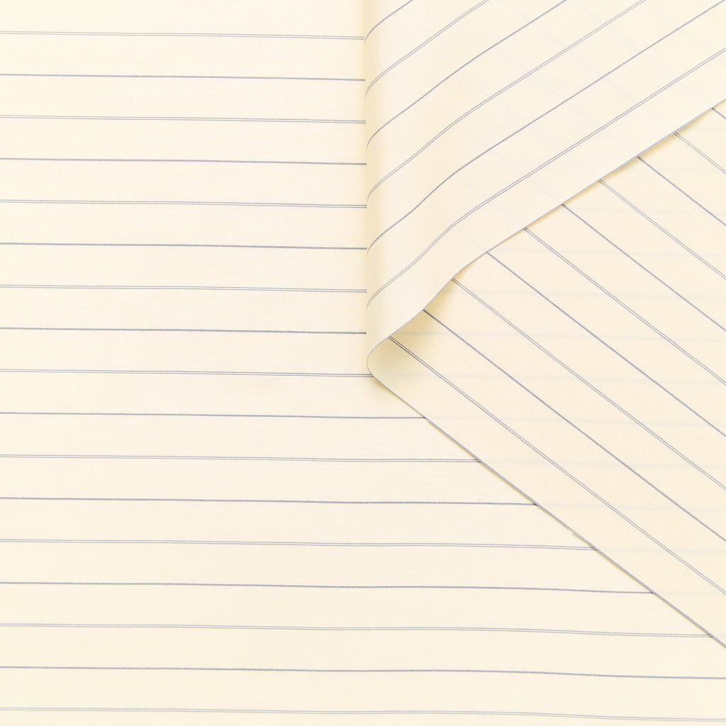 T25B14653 | Pinstripe Silk Poplin GOTS