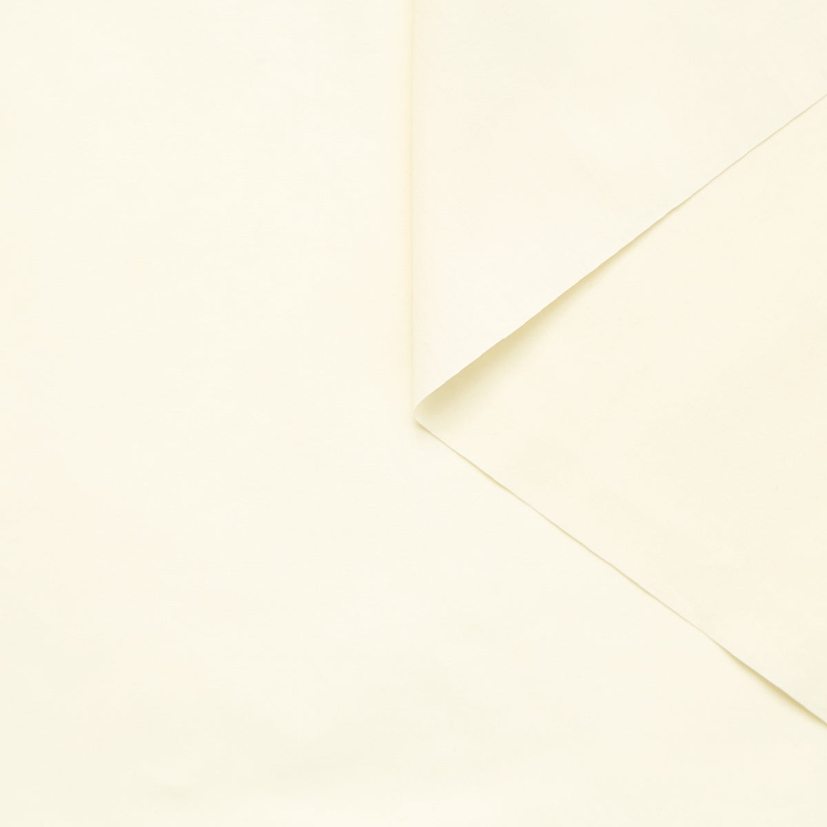 T25B14662 | Popeline de Coton Peau de Pêche GOTS