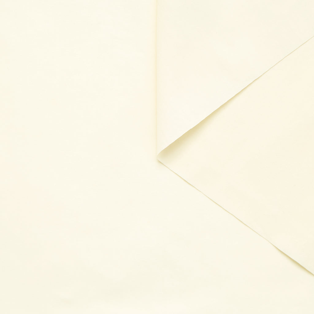 T25B14662 | Peach Skin Cotton Poplin GOTS