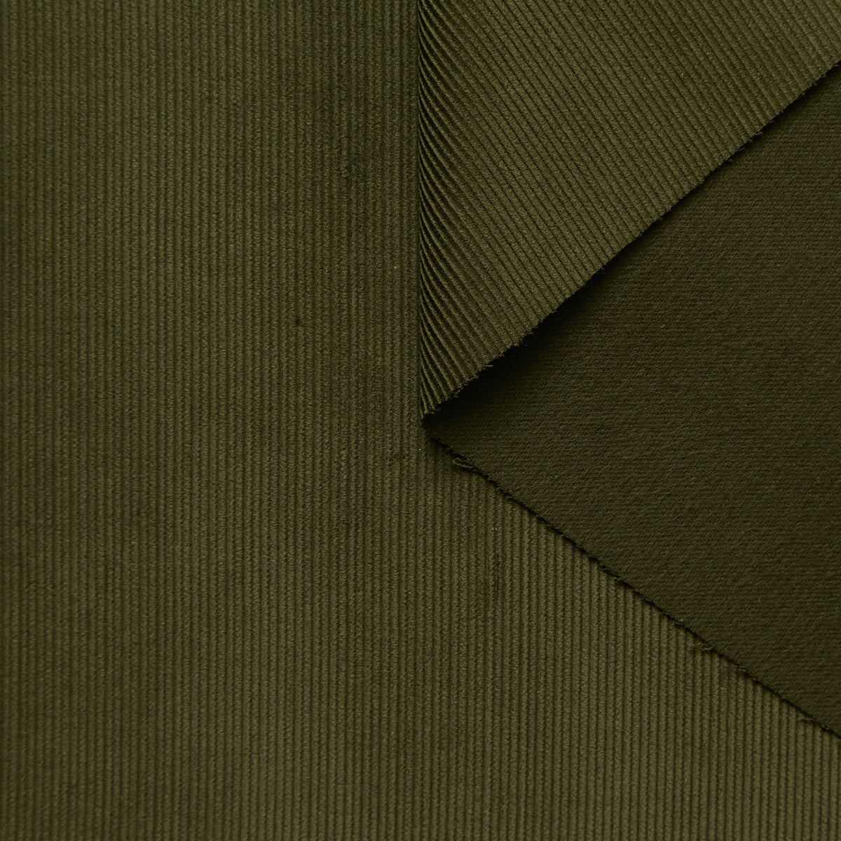 T25D14762 | Velours Corduroy de Coton