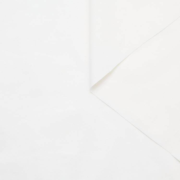 T25G11731 | Cotton Poplin - view 1