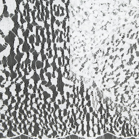T25J13068 | Dentelle Léopard