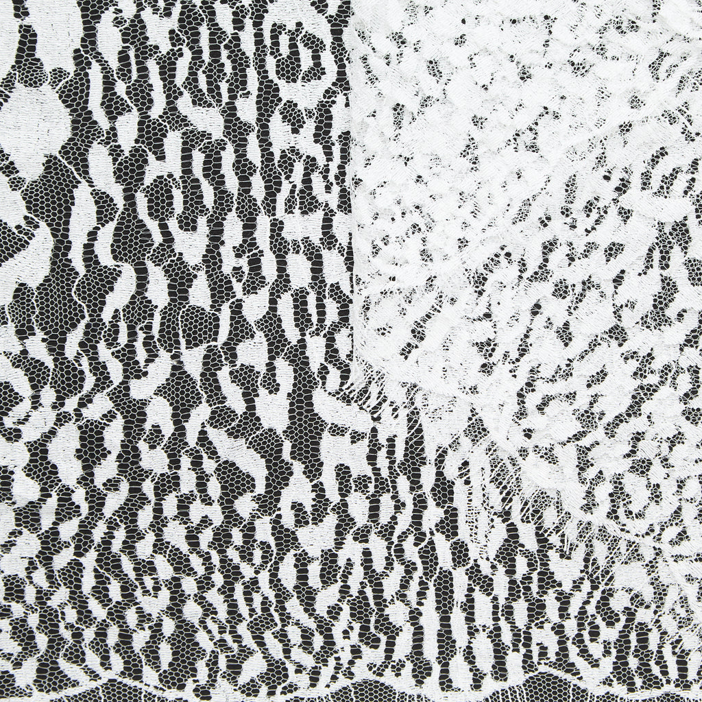 T25J13068 | Dentelle Léopard