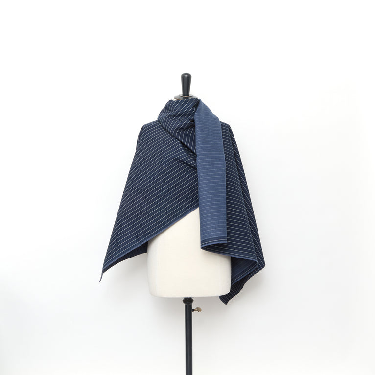 T25K11445 | Denim Rayé en Coton - vue 2